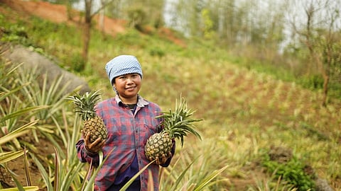 Meghalaya 