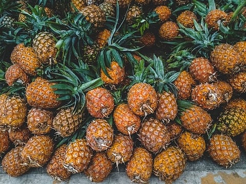 Meghalaya to Showcase Pineapples at New Delhi Festival to Boost Farmers' Markets