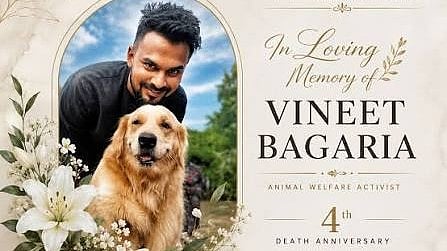 Vineet Bagaria