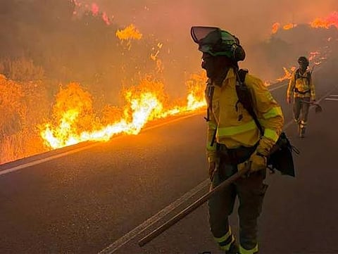 Spain wildfire