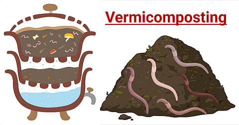vermicomposting training
