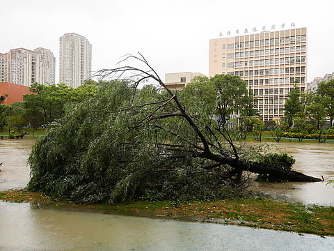 typhoon Bavi