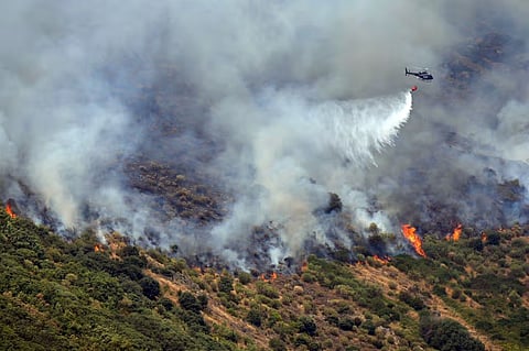 wildfire 