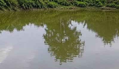 Four-Year-Old Child Dies After Allegedly Being Thrown into Pond in  Nagaon