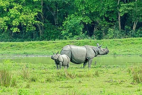 Assam Records Over Six Crore Tourist Arrivals in a Decade