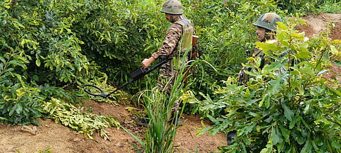 Nagaland IED blast