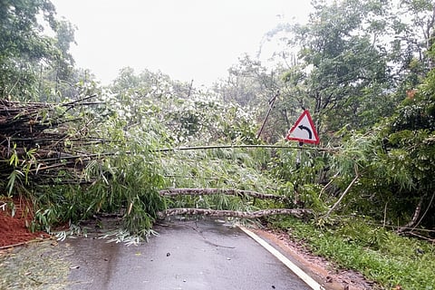 landslide