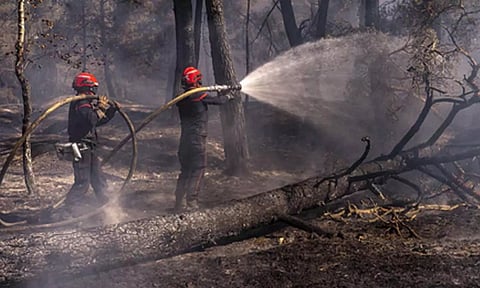 wildfires 