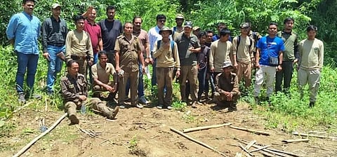 Missing forest officials