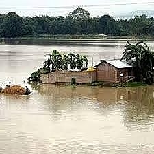 Dikhow River 