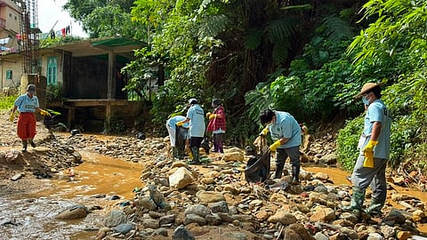 Volunteers remove 