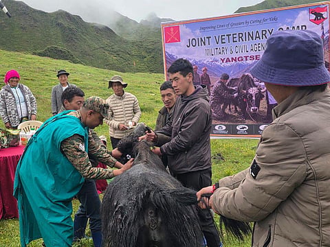 FMD vaccination drive