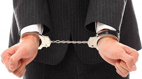 economic offenders