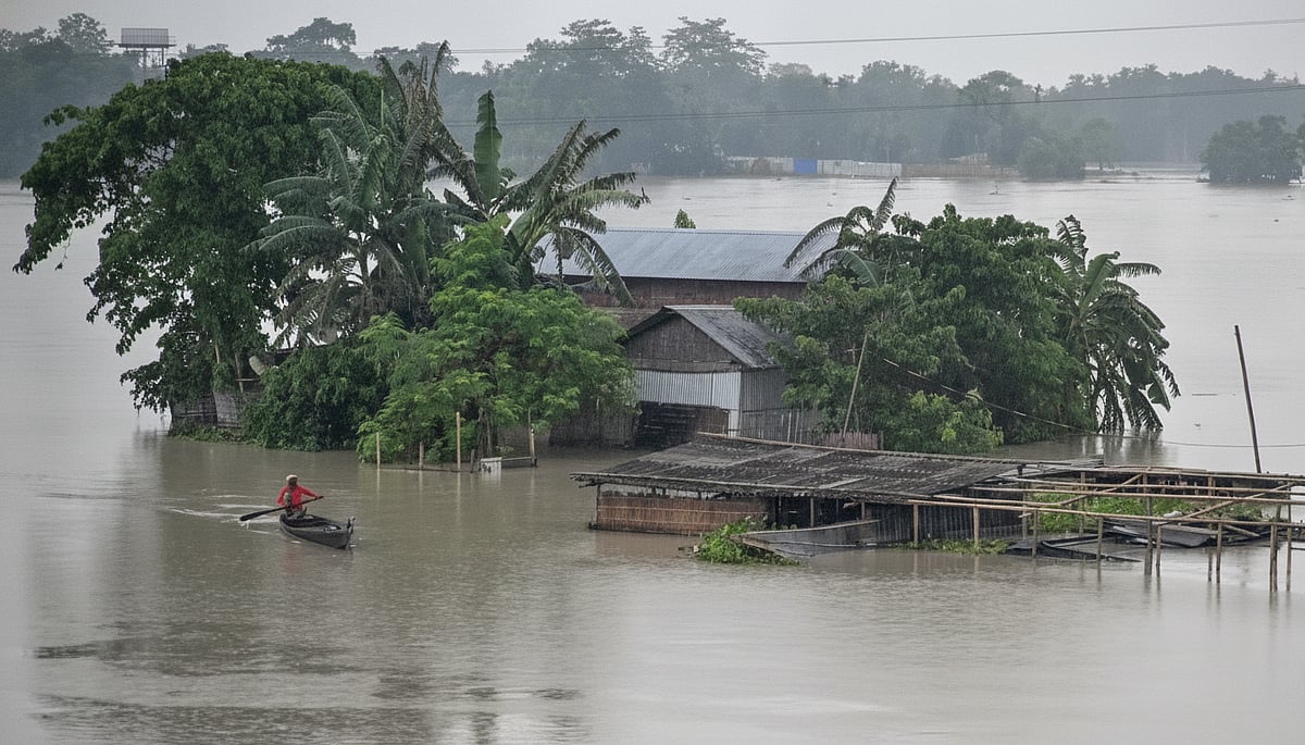 Assam Floods: How Climate Change, River Erosion and Human Activity Fuel the Crisis