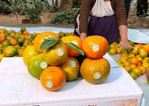  Khasi mandarin,