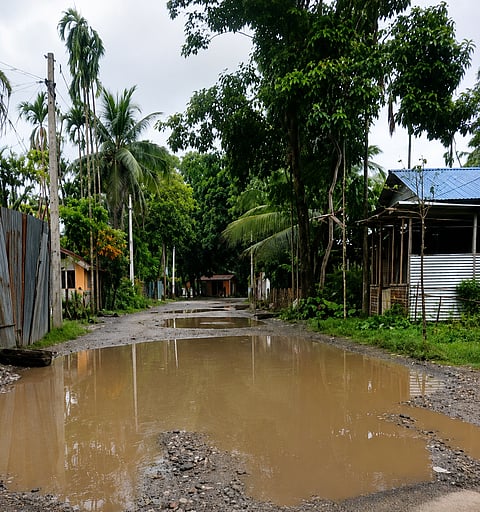 Ghograpar-Tamulpur road
