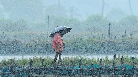 IMD forecasts rain, thunderstorms