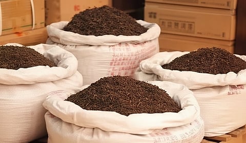 India’s tea exports