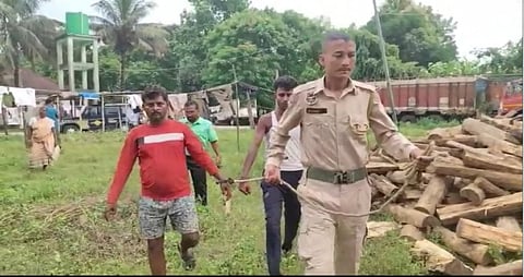 Large Consignment of Teak Wood Seized from Truck in Srirampur