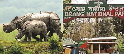 Orang National Park