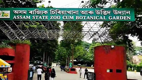 Assam Zoo to Undergo Rs 340-Crore Redevelopment, Plans World-Class Bird Aviary