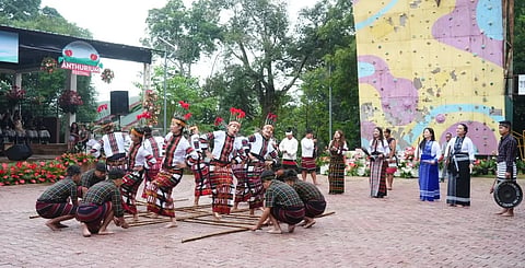 Mizoram Anthurium Festival