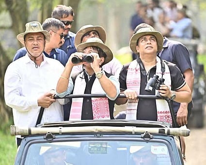 Kaziranga National Park