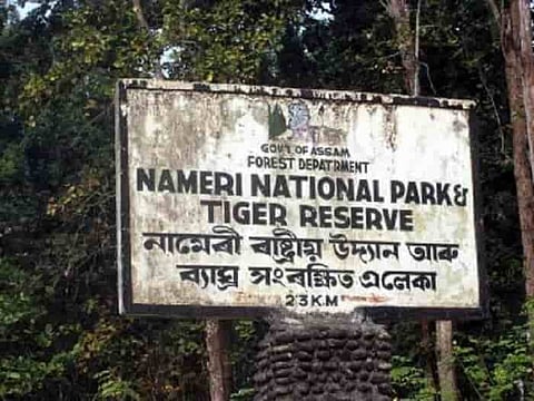 Nameri joins Kaziranga, Manas, and Orang to cement Assam’s position as a leader in global tiger conservation.