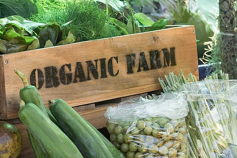 organic farming