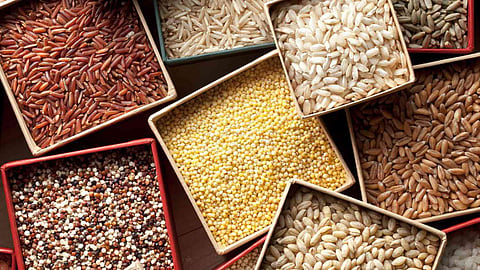 Food Future