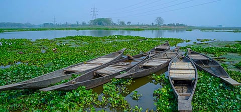 Environmentalists clarify that dietary swelling from aquatic seeds caused the deaths at Assam’s lone Ramsar site