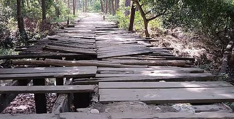 Wooden Bridges 