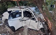 Speeding sedan rams into a tree on NH-37 during the early hours of Thursday; police launch investigation