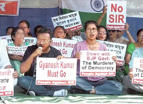 Protesters 