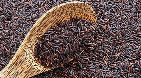 Manipur’s GI-Tagged Scented Rice Showcased Through Korean Kimbap Demonstration at BIRC 2026
