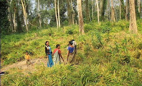 Padumpathar Agro Organic FPO recognized with state's third-highest civilian honour for strengthening rural enterprise