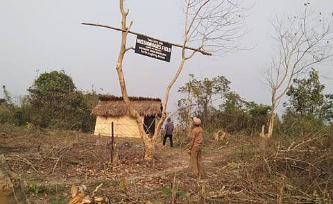 National Green Tribunal
