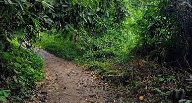Garbhanga Reserve Forest.  