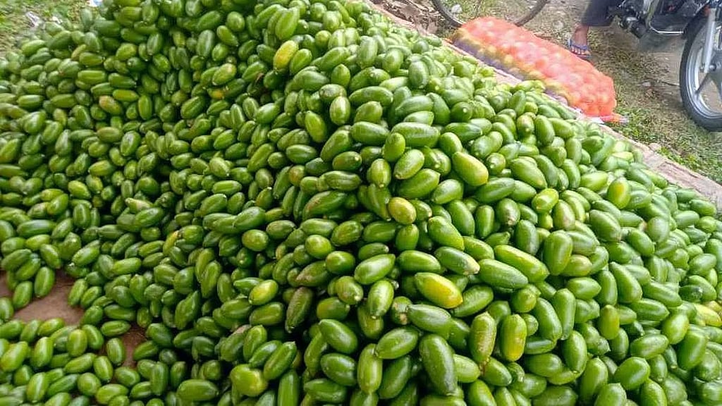 Assam: Assam's Kaji Nemu Named State Fruit, Marks Milestone with London ...