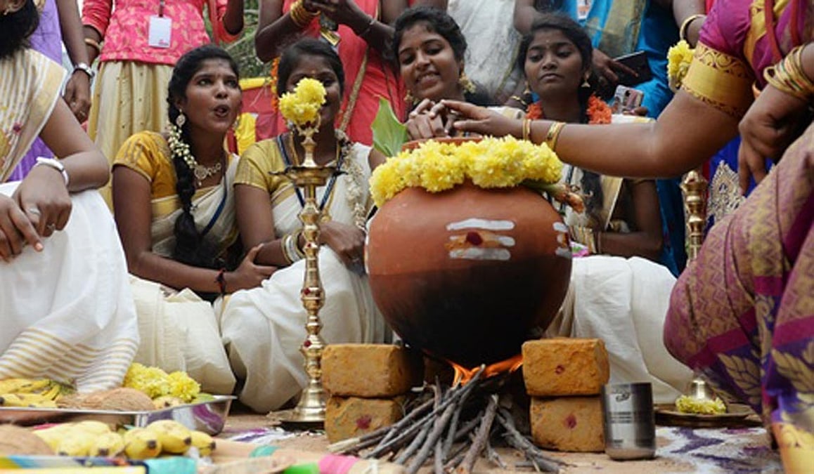 Pongal: The Grand Harvest Festival of Tamil Nadu