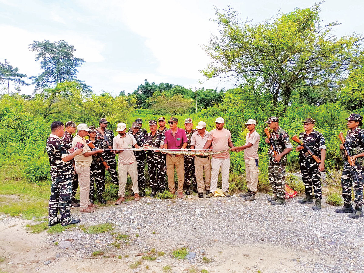 SSB and Forest Officials Rescue 8.4-Foot Python in Joint Operation Near ...