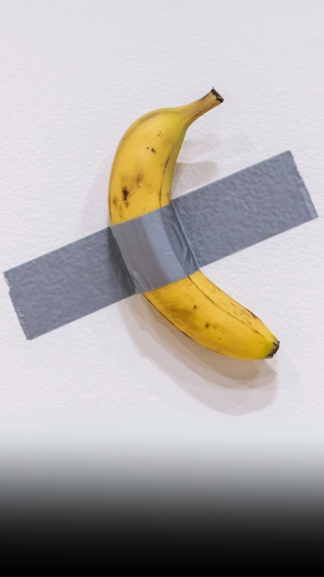 1.jpg?w=1200&h=1200&auto=