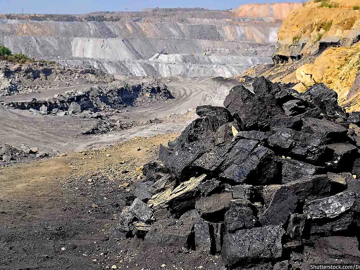 Illegal Mining and Pollution Threaten Assam's Biodiversity and Rivers