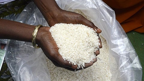 Cachar district launches massive free rice distribution drive