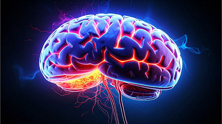 Parkinson's Impact: Brain Blood Vessel Changes Unveiled in Study
