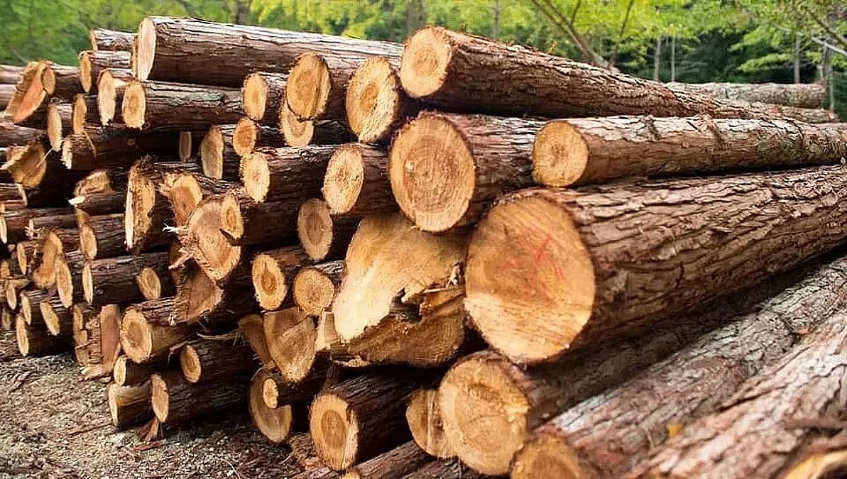 Assam: Pickup van with smuggled timber seized in Goalpara district