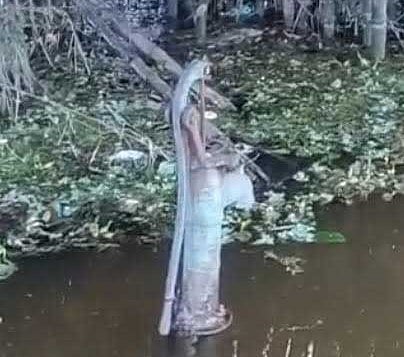 Assam: Flood situation in Bonkuwal unchanged; acute drinking water ...