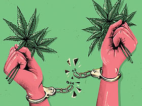 55 Kg Marijuana Seized at Guwahati Railway Station