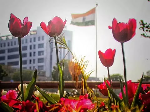 भारत के कई हिस्सों में गायब हो जाता है वसंत: वैज्ञानिक
