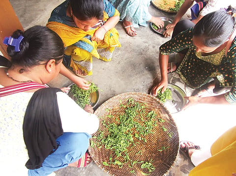 आरण्यक ने कार्बी आंगलोंग में महिलाओं और छात्रों के लिए हस्तनिर्मित चाय बनाने का प्रशिक्षण आयोजित किया
